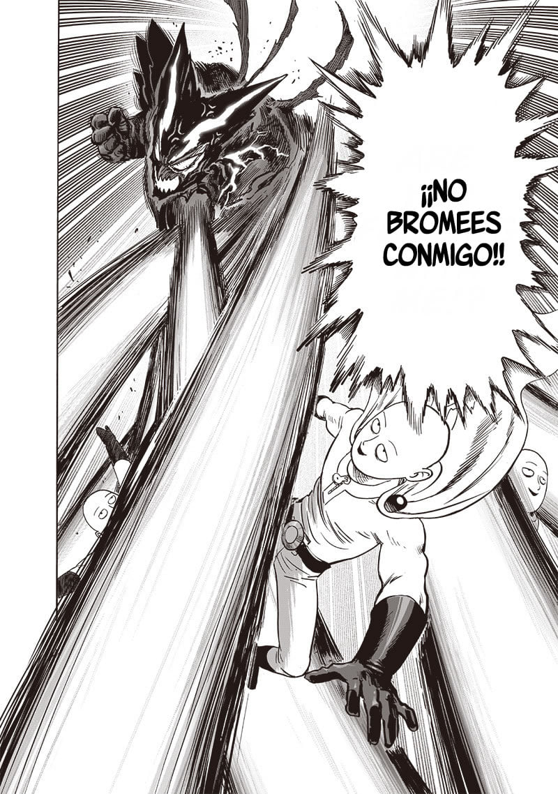 One Punch-Man Capitulo 206: Más duro que una montaña página 26