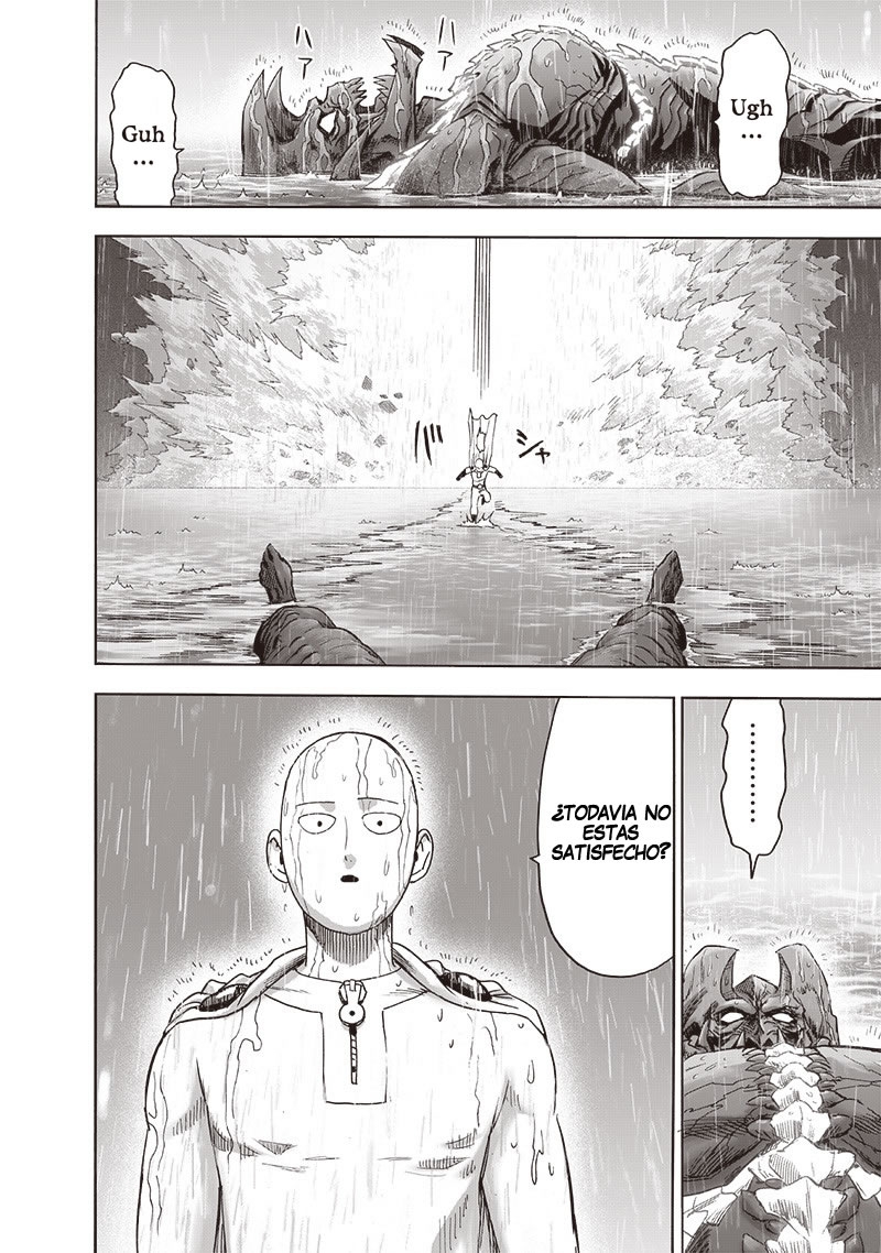 One Punch-Man Capitulo 207: El abominable puño que se volvió contra Dios página 29