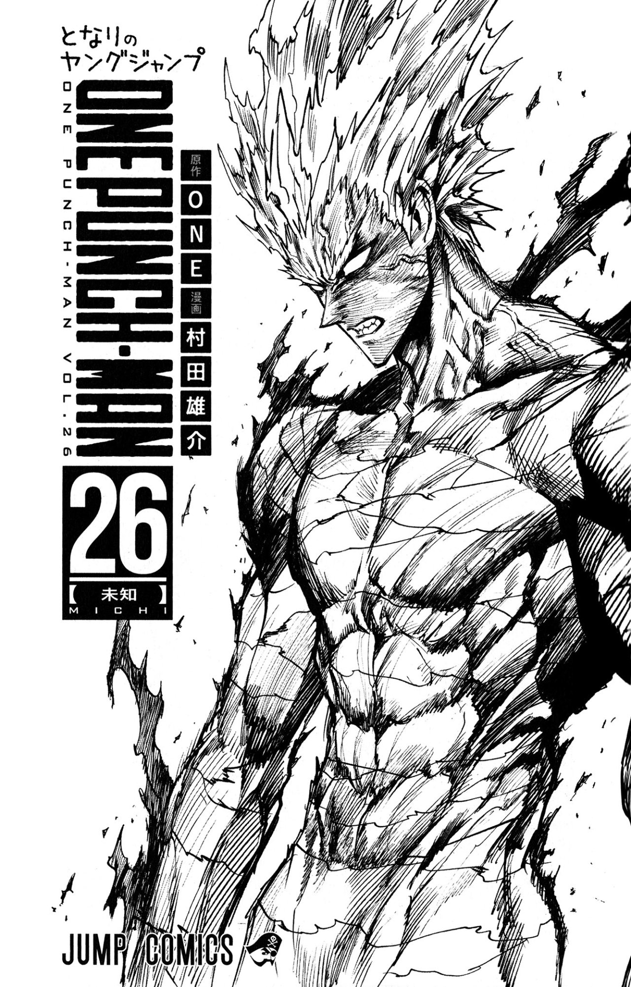 One Punch-Man Capitulo 209.1: Especial Vol. 26 página 11