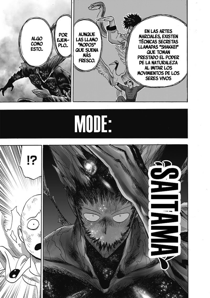 One Punch-Man Capitulo 209: Enésima Potencia página 17