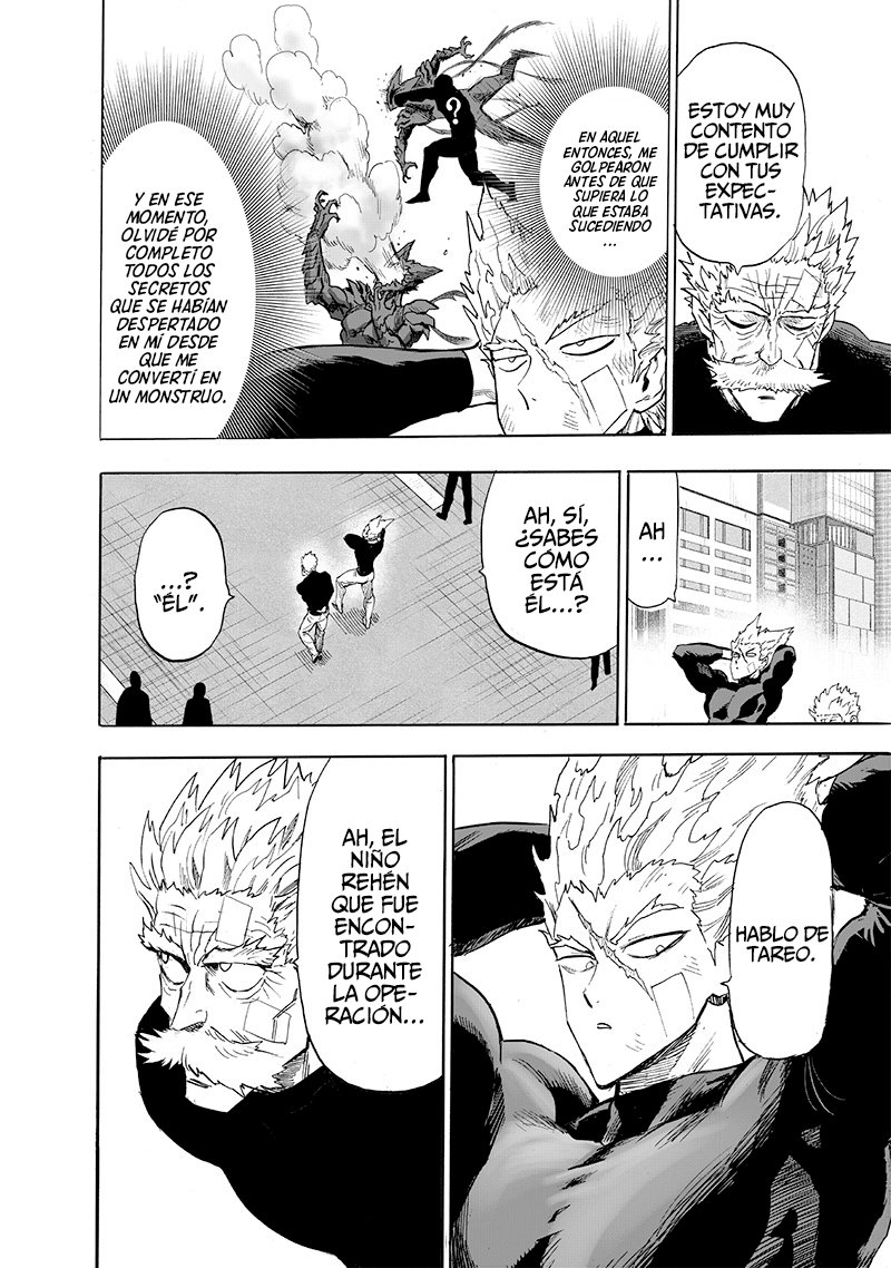 One Punch-Man Capitulo 214: El último tipo con el que quiero toparme... página 11