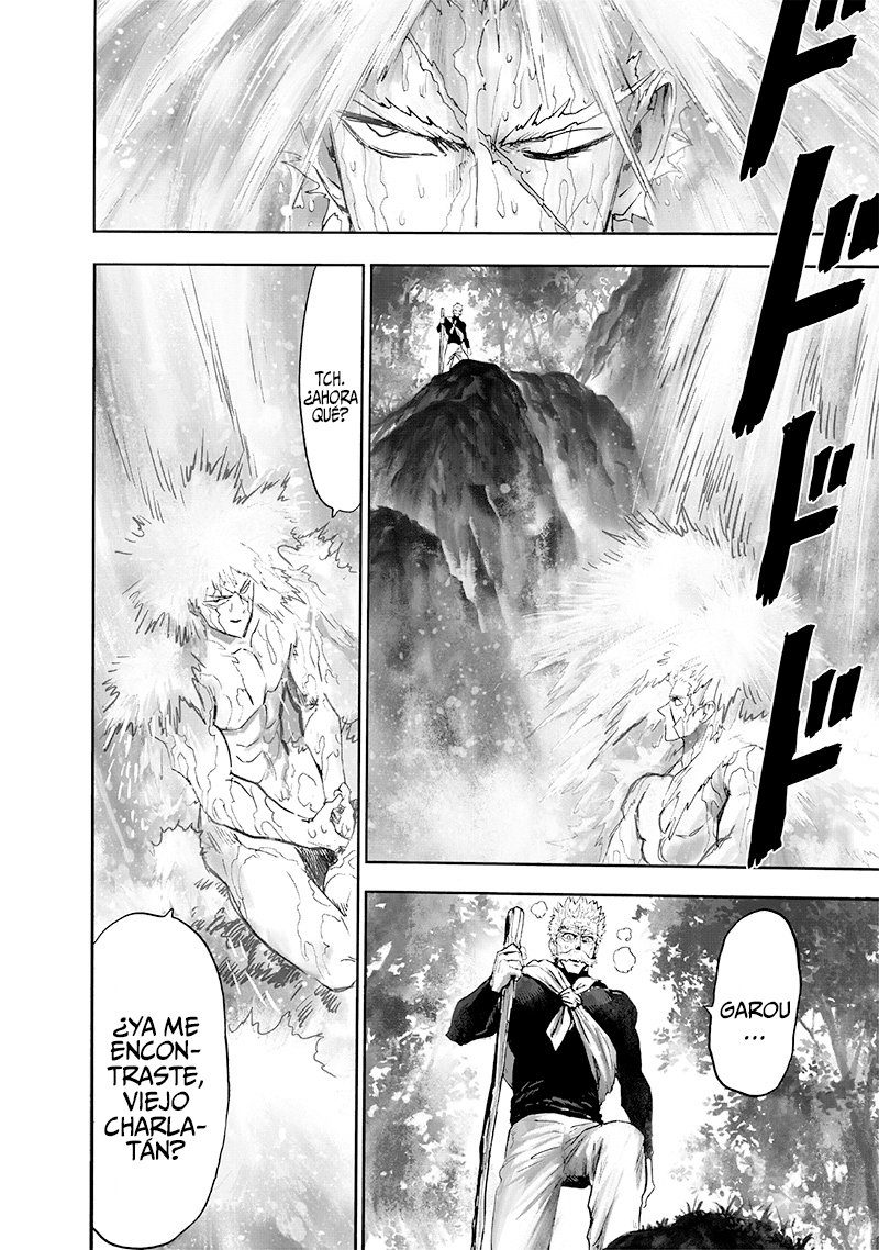 One Punch-Man Capitulo 214: El último tipo con el que quiero toparme... página 9