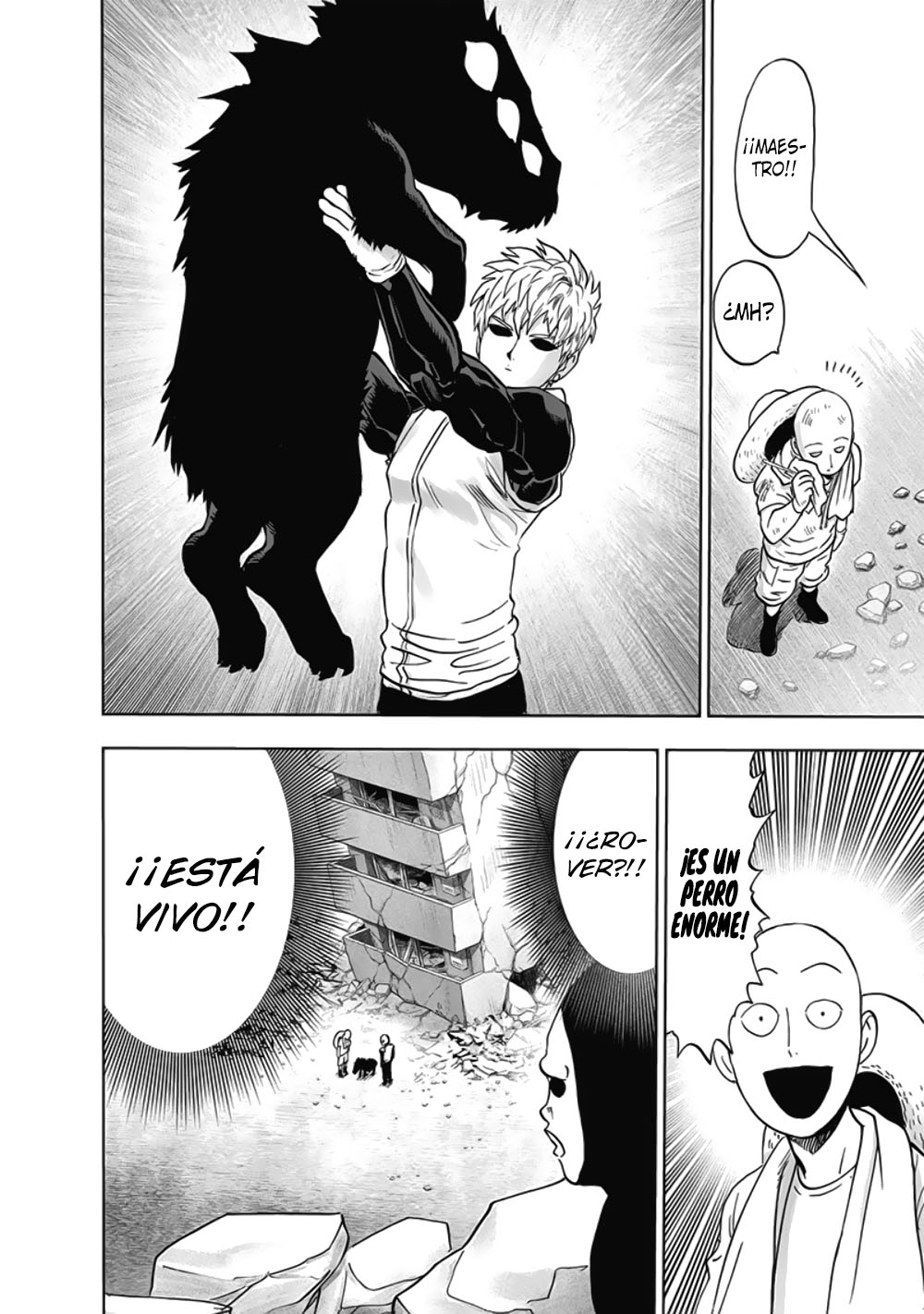 One Punch-Man Capitulo 215: Nuevo Hogar página 25