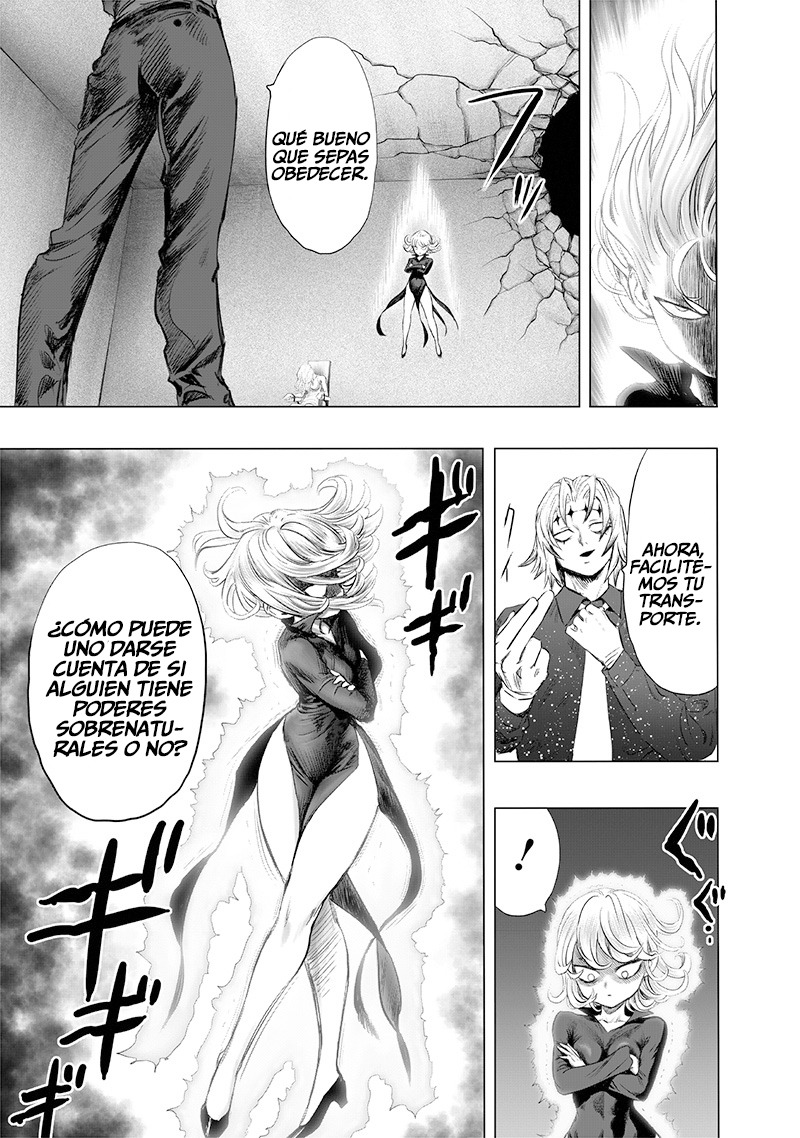 One Punch-Man Capitulo 220: Lo habitual y los riesgos página 12