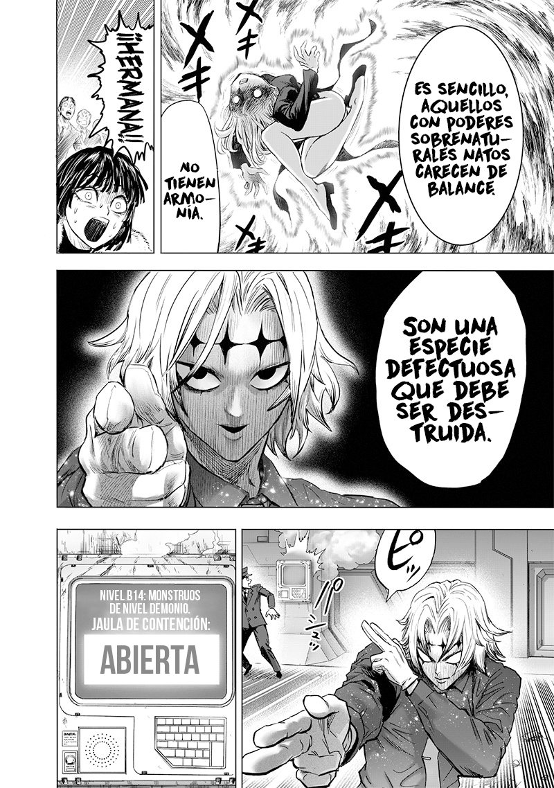 One Punch-Man Capitulo 220: Lo habitual y los riesgos página 13