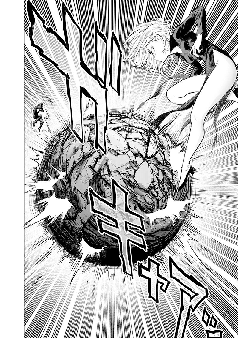 One Punch-Man Capitulo 220: Lo habitual y los riesgos página 24