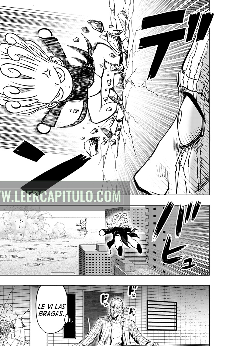 One Punch-Man Capitulo 224: Cuero cabelludo y Fricción página 28