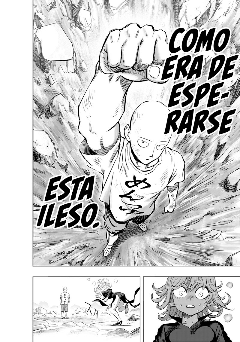 One Punch-Man Capitulo 225: Incierto página 11