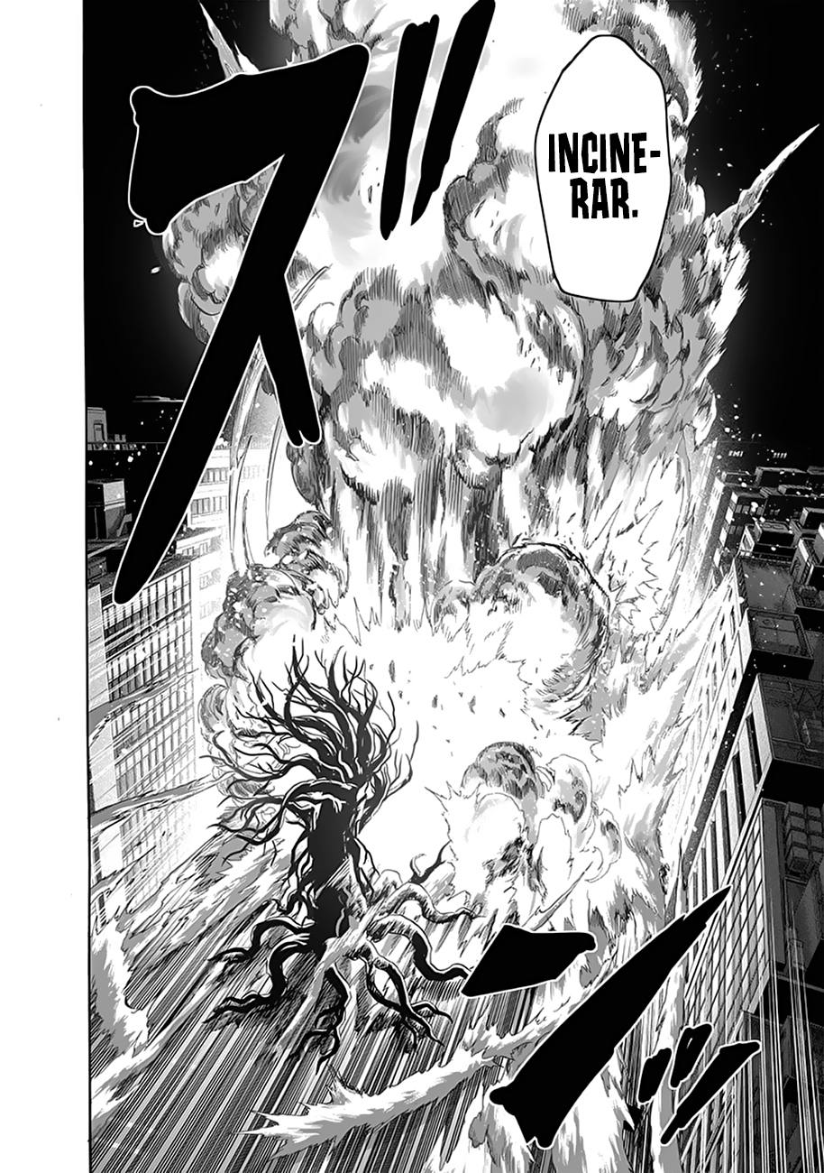 One Punch-Man Capitulo 228: Actualización página 25