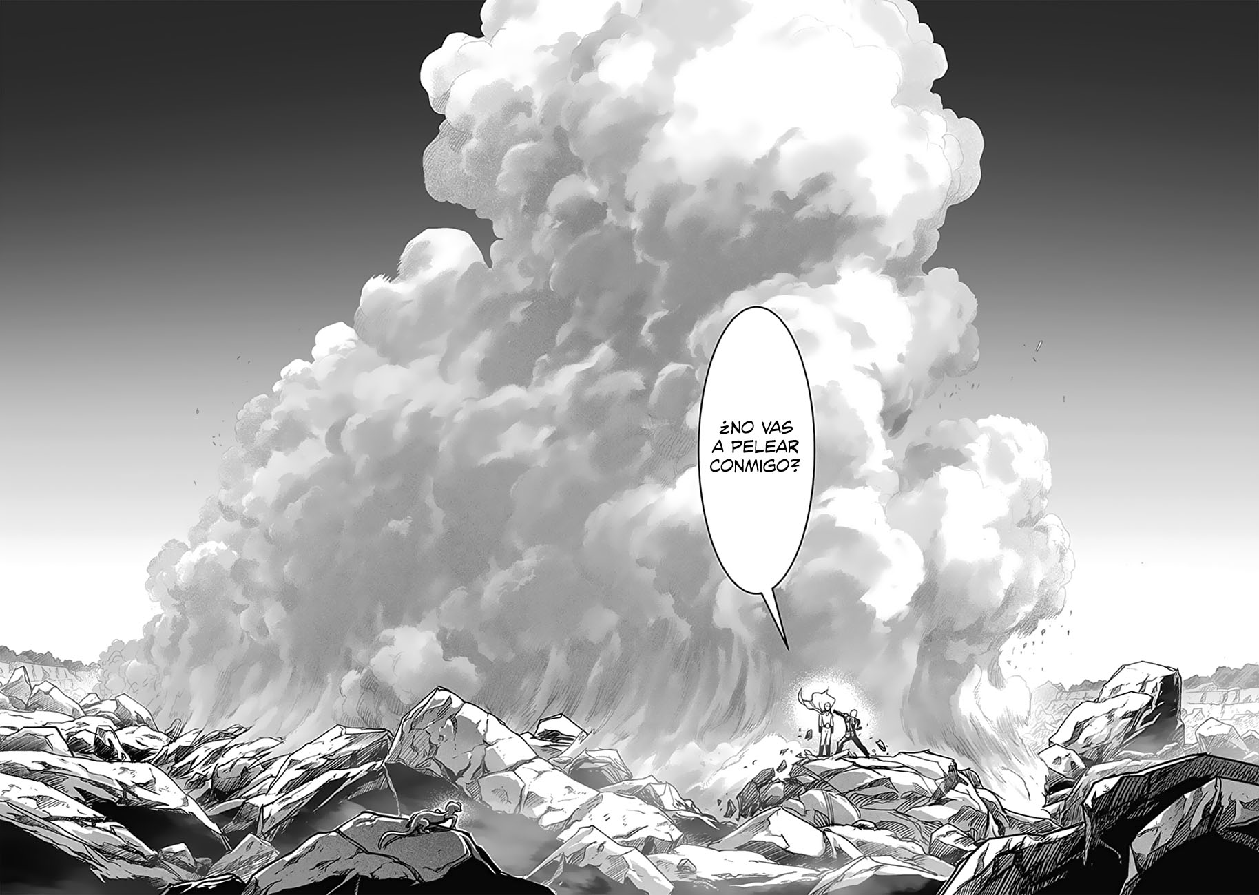 One Punch-Man Capitulo 229: Punto de inflexión página 14