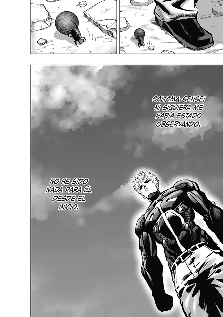 One Punch-Man Capitulo 229: Punto de inflexión página 19