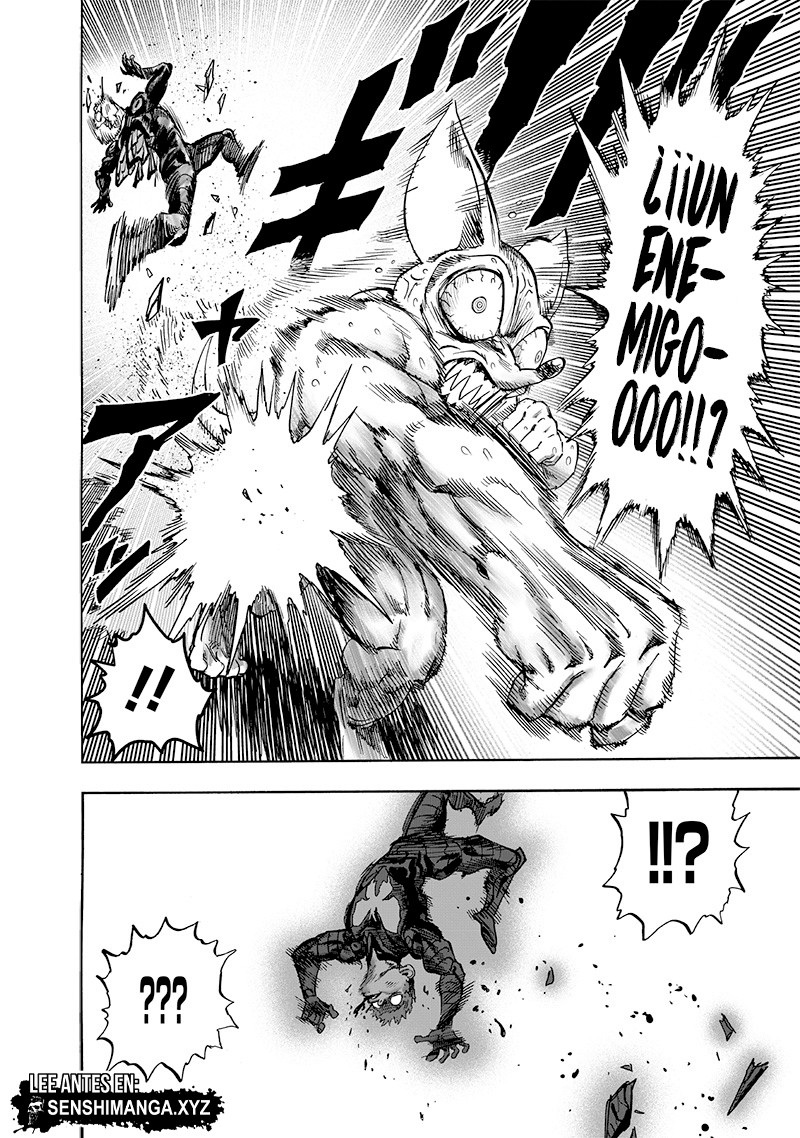 One Punch-Man Capitulo 230: Mariposa y Espalda página 10