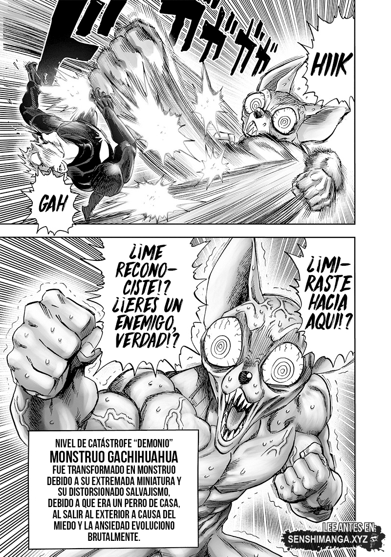 One Punch-Man Capitulo 230: Mariposa y Espalda página 17