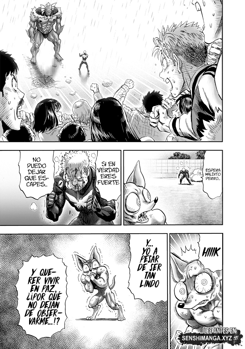 One Punch-Man Capitulo 230: Mariposa y Espalda página 21
