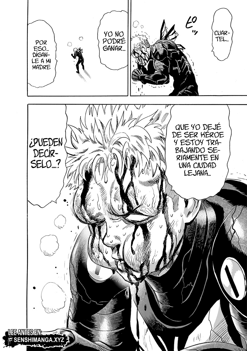 One Punch-Man Capitulo 230: Mariposa y Espalda página 24