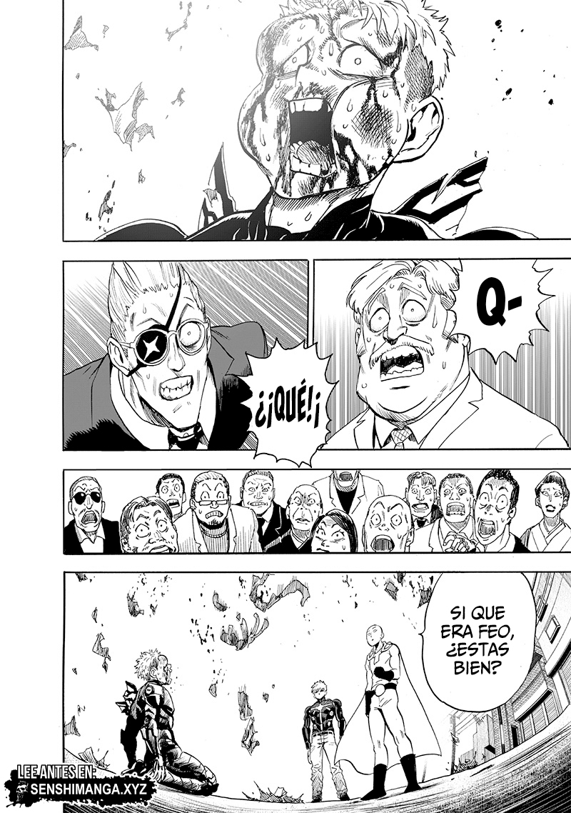 One Punch-Man Capitulo 230: Mariposa y Espalda página 27