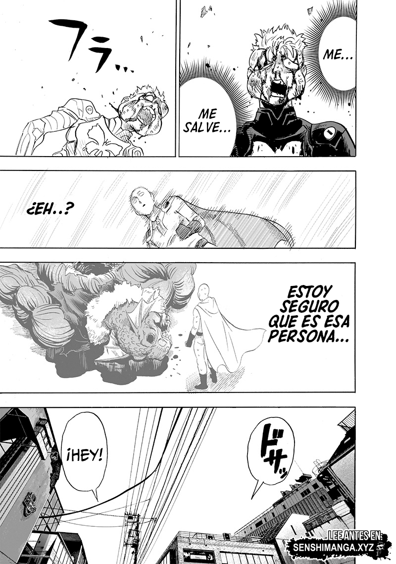 One Punch-Man Capitulo 230: Mariposa y Espalda página 28