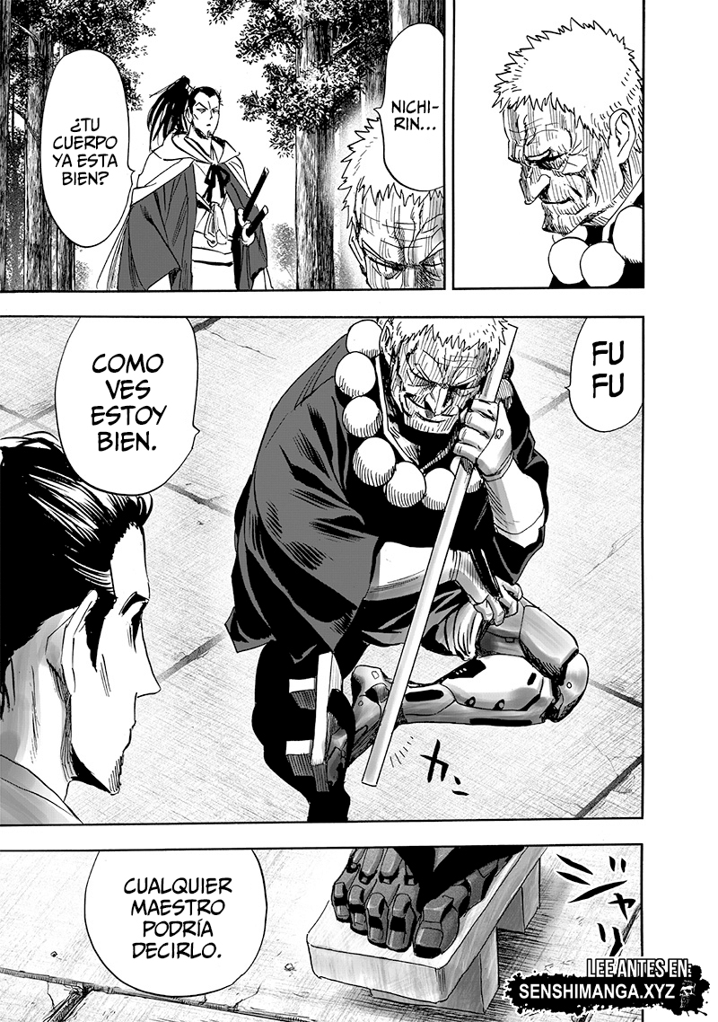One Punch-Man Capitulo 231: Valoración página 11