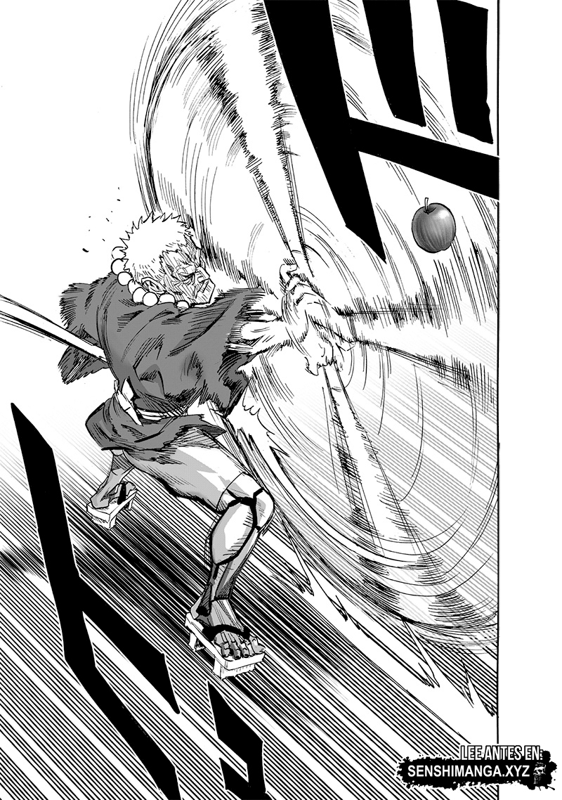 One Punch-Man Capitulo 231: Valoración página 13