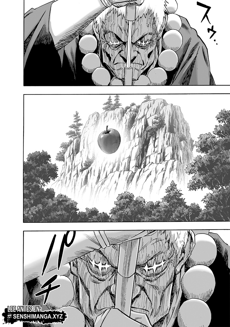 One Punch-Man Capitulo 231: Valoración página 14