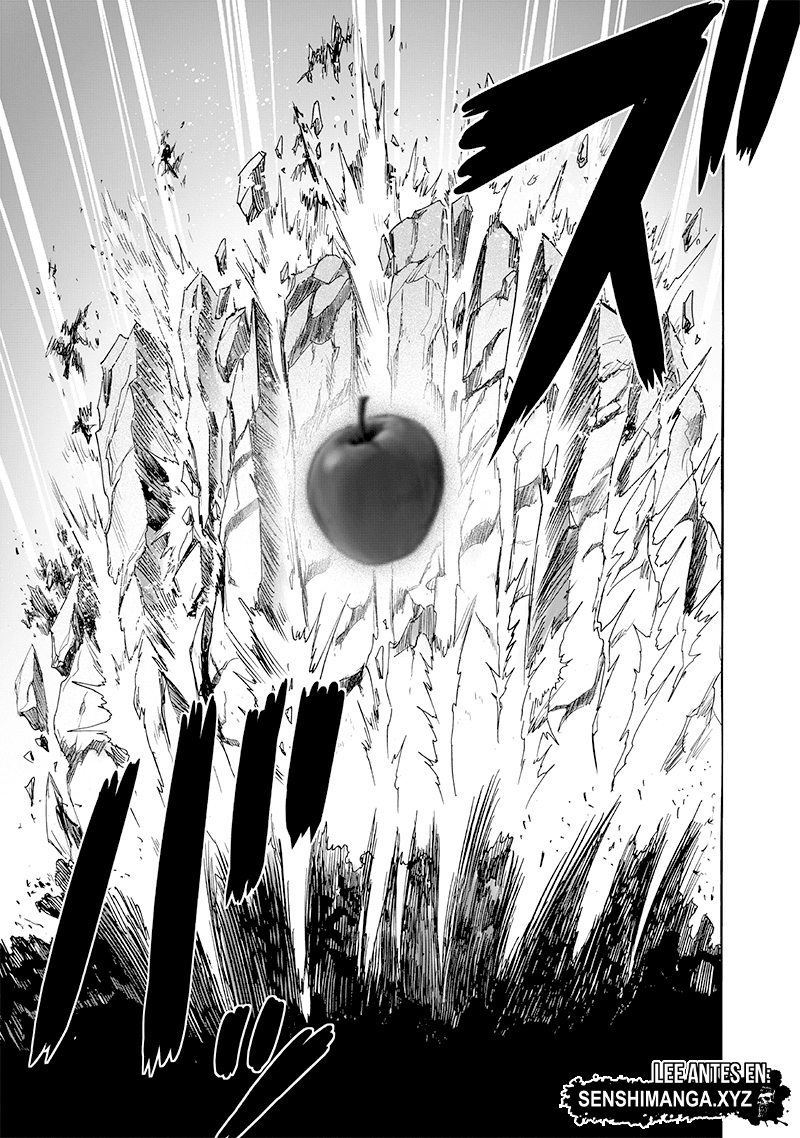 One Punch-Man Capitulo 231: Valoración página 15