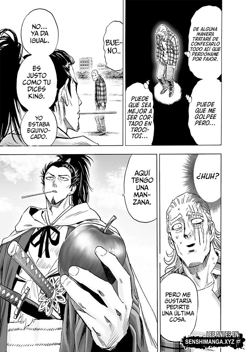 One Punch-Man Capitulo 232: Prueba de espada página 17