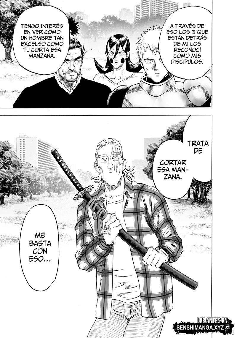 One Punch-Man Capitulo 232: Prueba de espada página 19