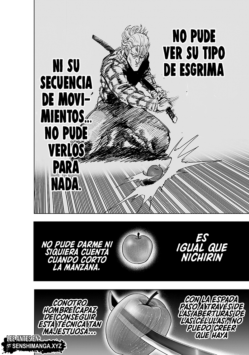 One Punch-Man Capitulo 232: Prueba de espada página 26