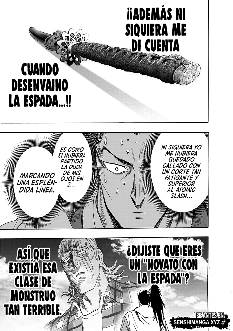 One Punch-Man Capitulo 232: Prueba de espada página 27