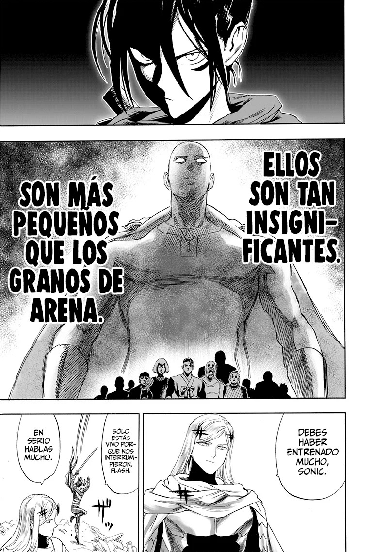 One Punch-Man Capitulo 237.3: Duelo página 19