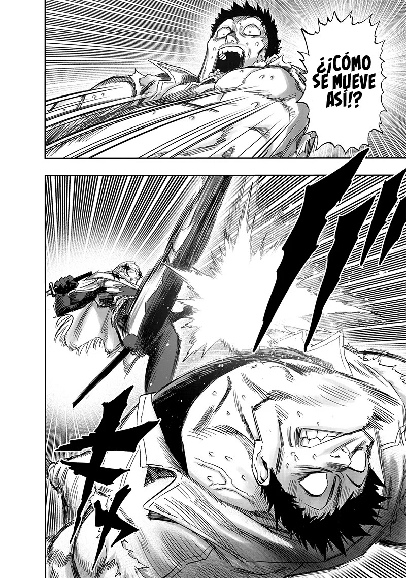 One Punch-Man Capitulo 237.5: Así es página 12