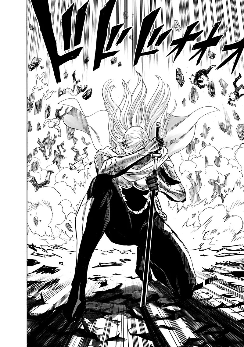 One Punch-Man Capitulo 237.5: Así es página 14