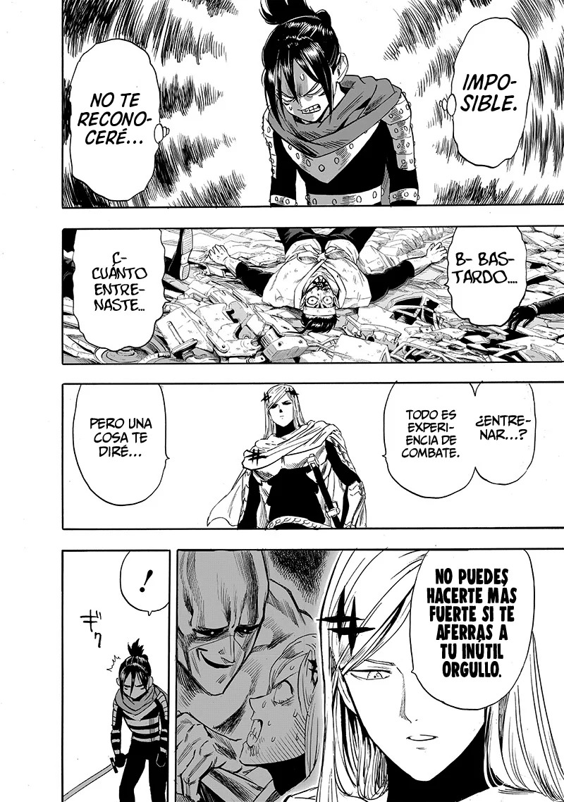 One Punch-Man Capitulo 237.5: Así es página 16