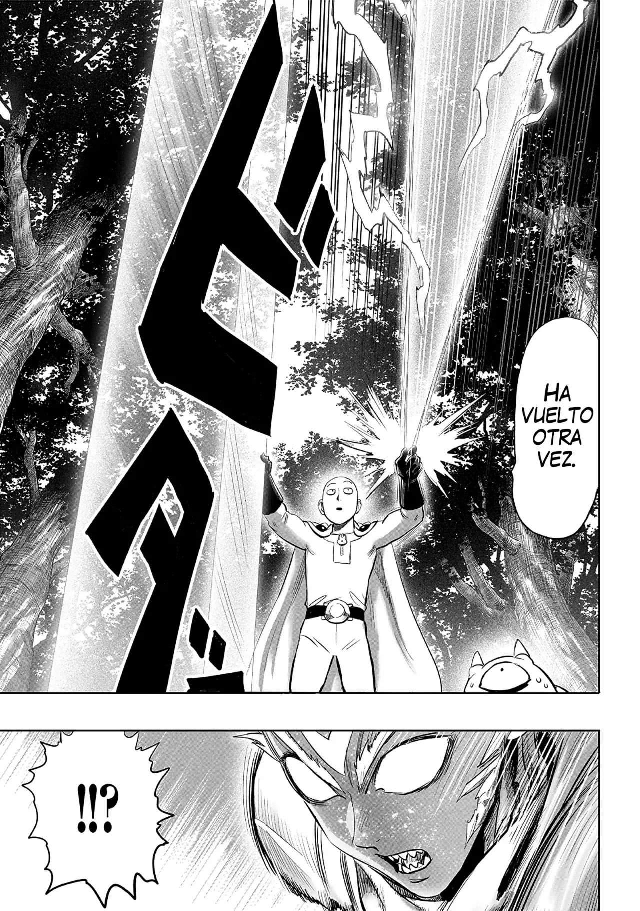 One Punch-Man Capitulo 252: Captura página 14
