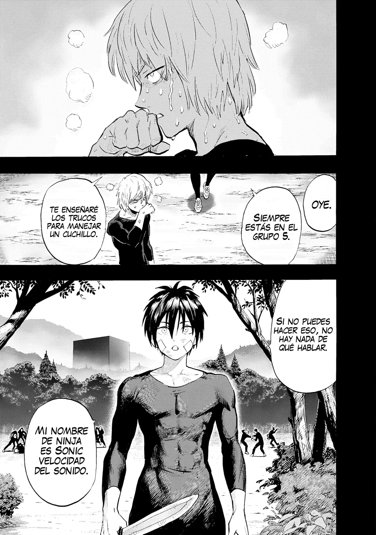 One Punch-Man Capitulo 255: La aldea ninja página 10