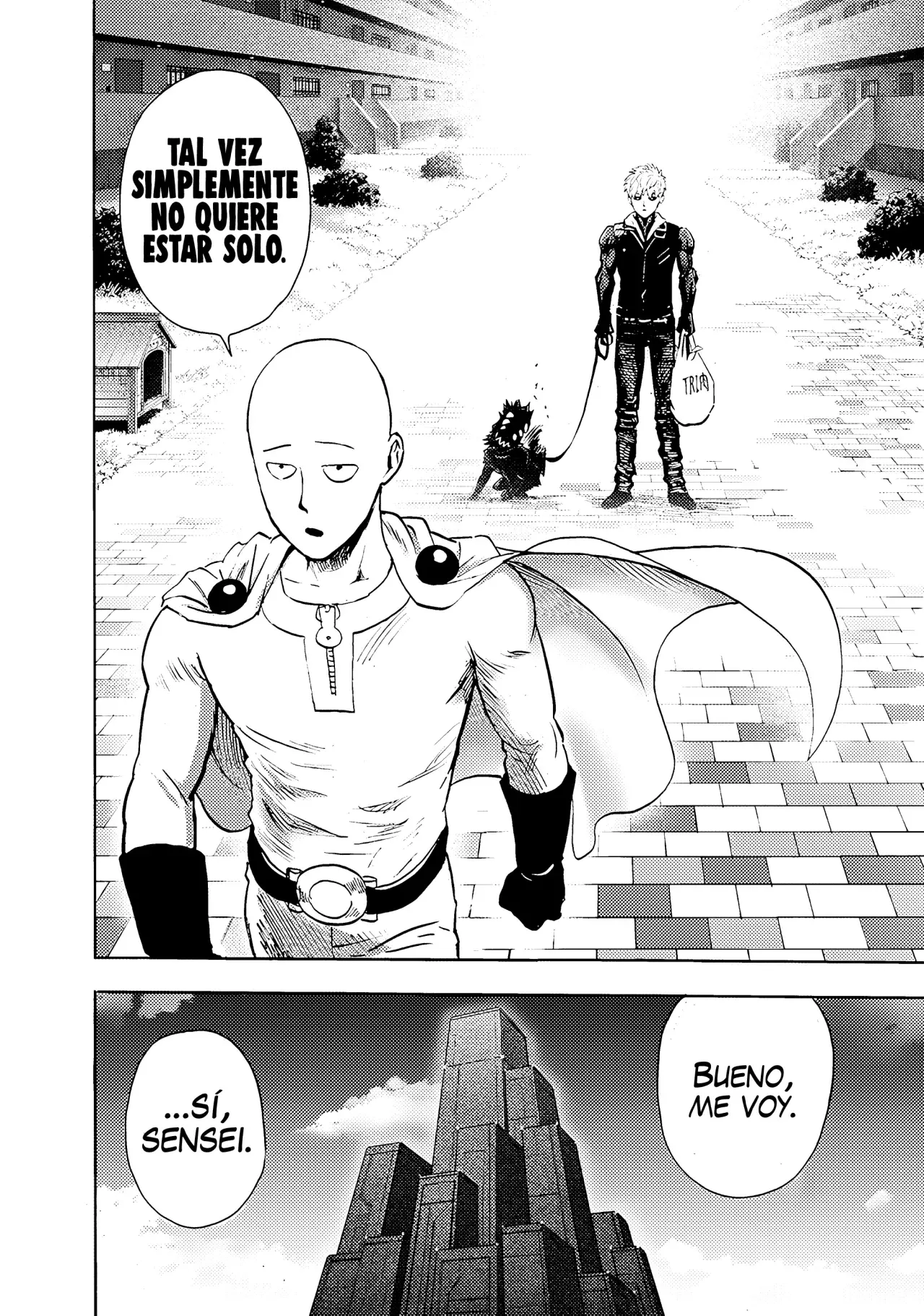 One Punch-Man Capitulo 256: Karma página 15