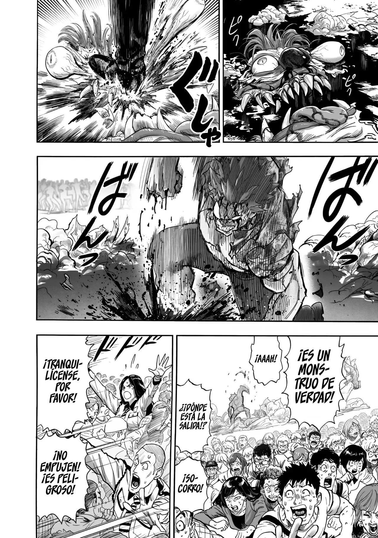 One Punch-Man Capitulo 276: Piedra página 17