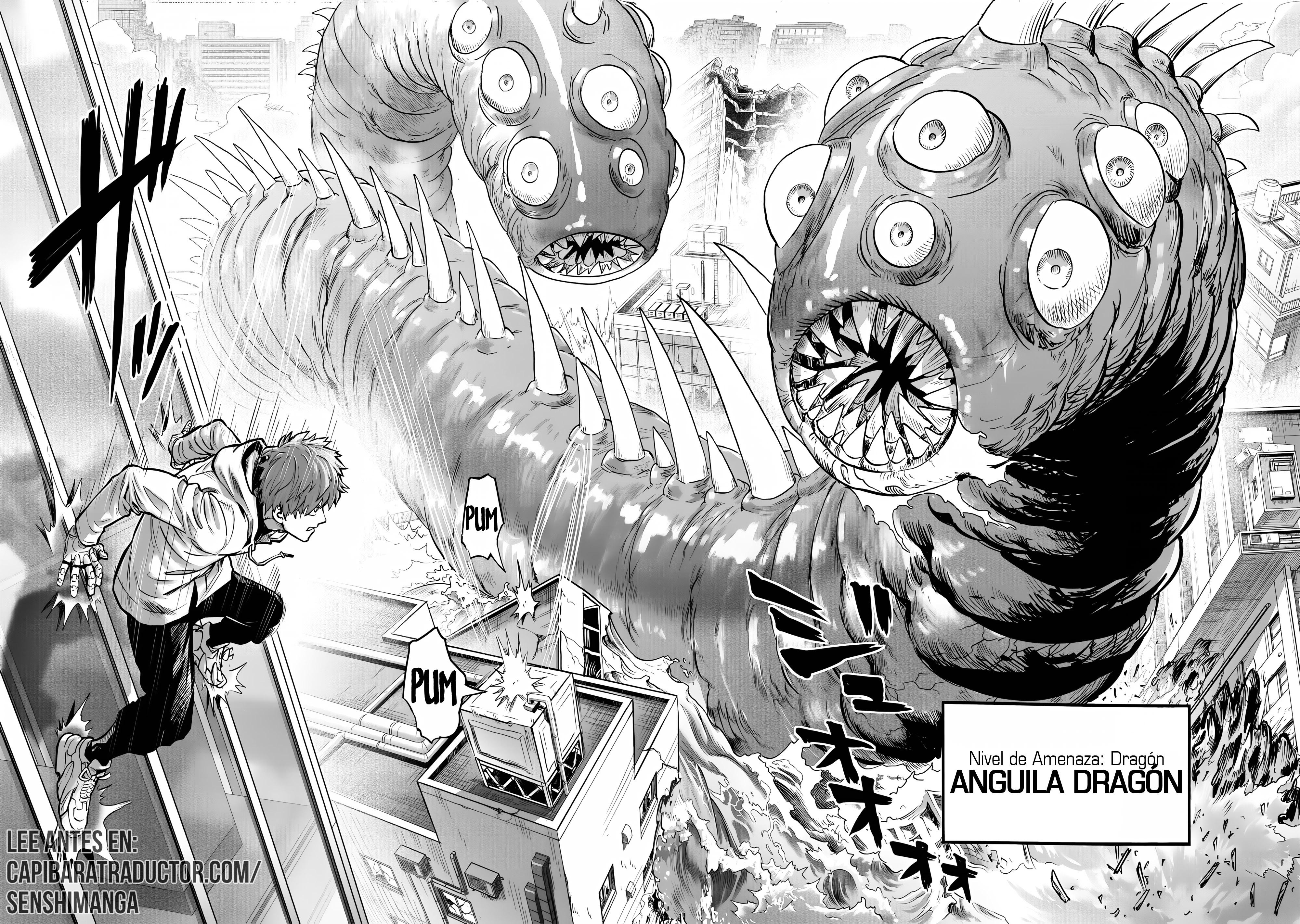 One Punch-Man Capitulo 287 página 9