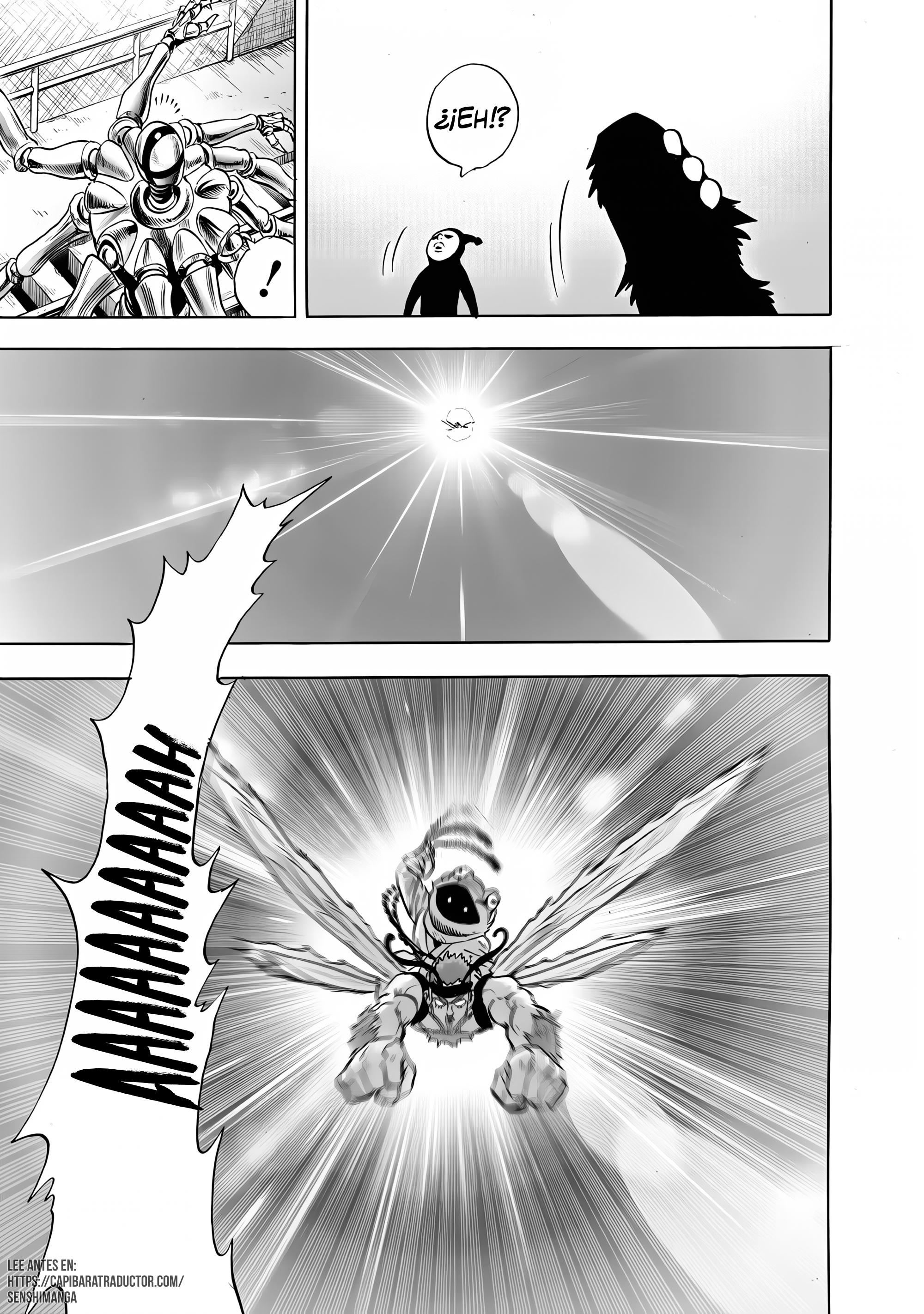 One Punch-Man Capitulo 290 página 12