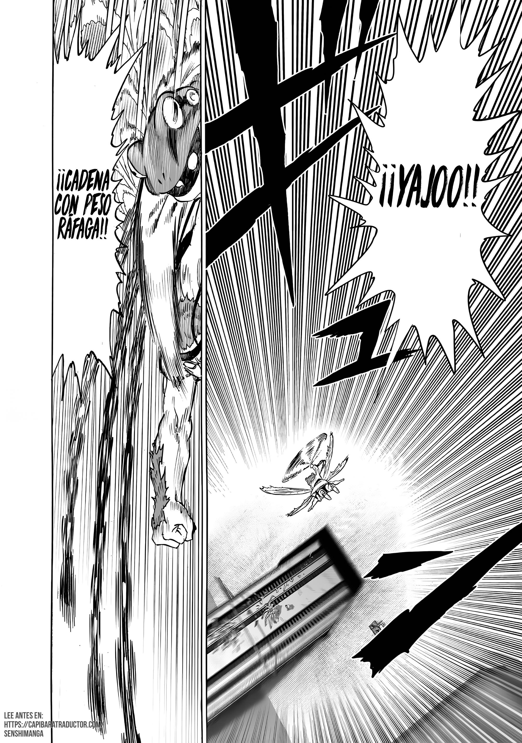 One Punch-Man Capitulo 290 página 13