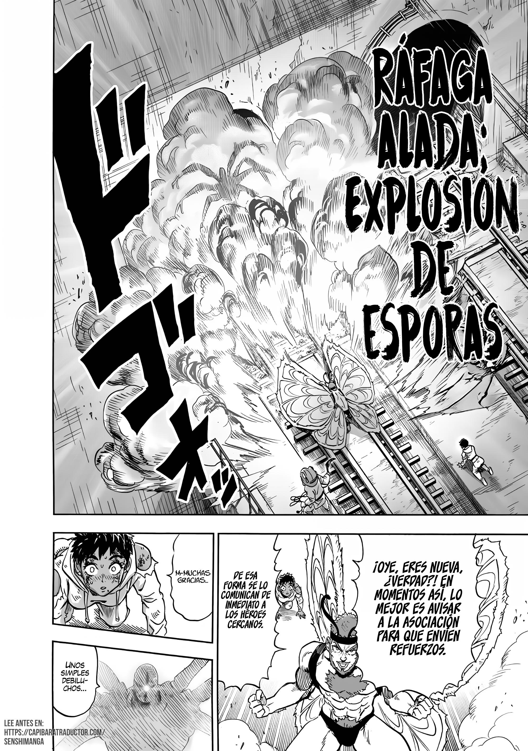 One Punch-Man Capitulo 290 página 17