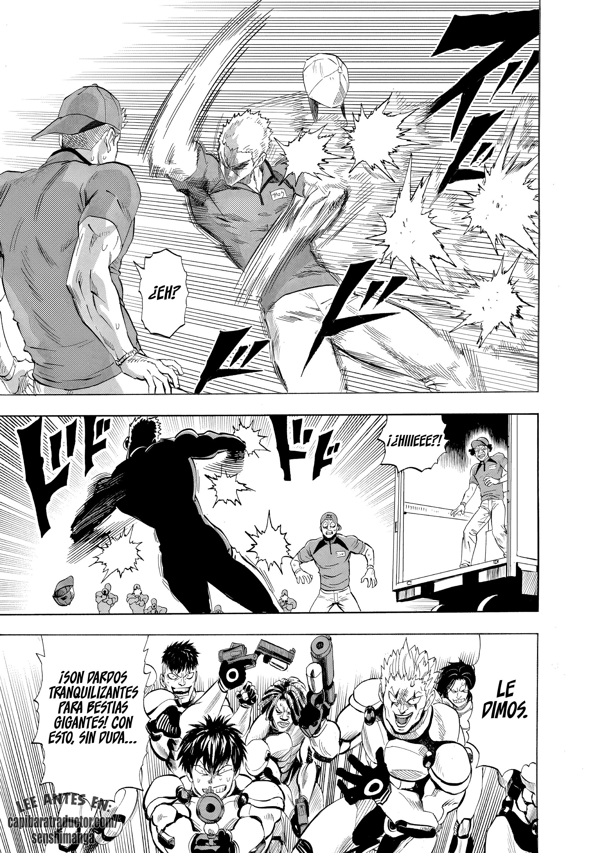 One Punch-Man Capitulo 293 página 11