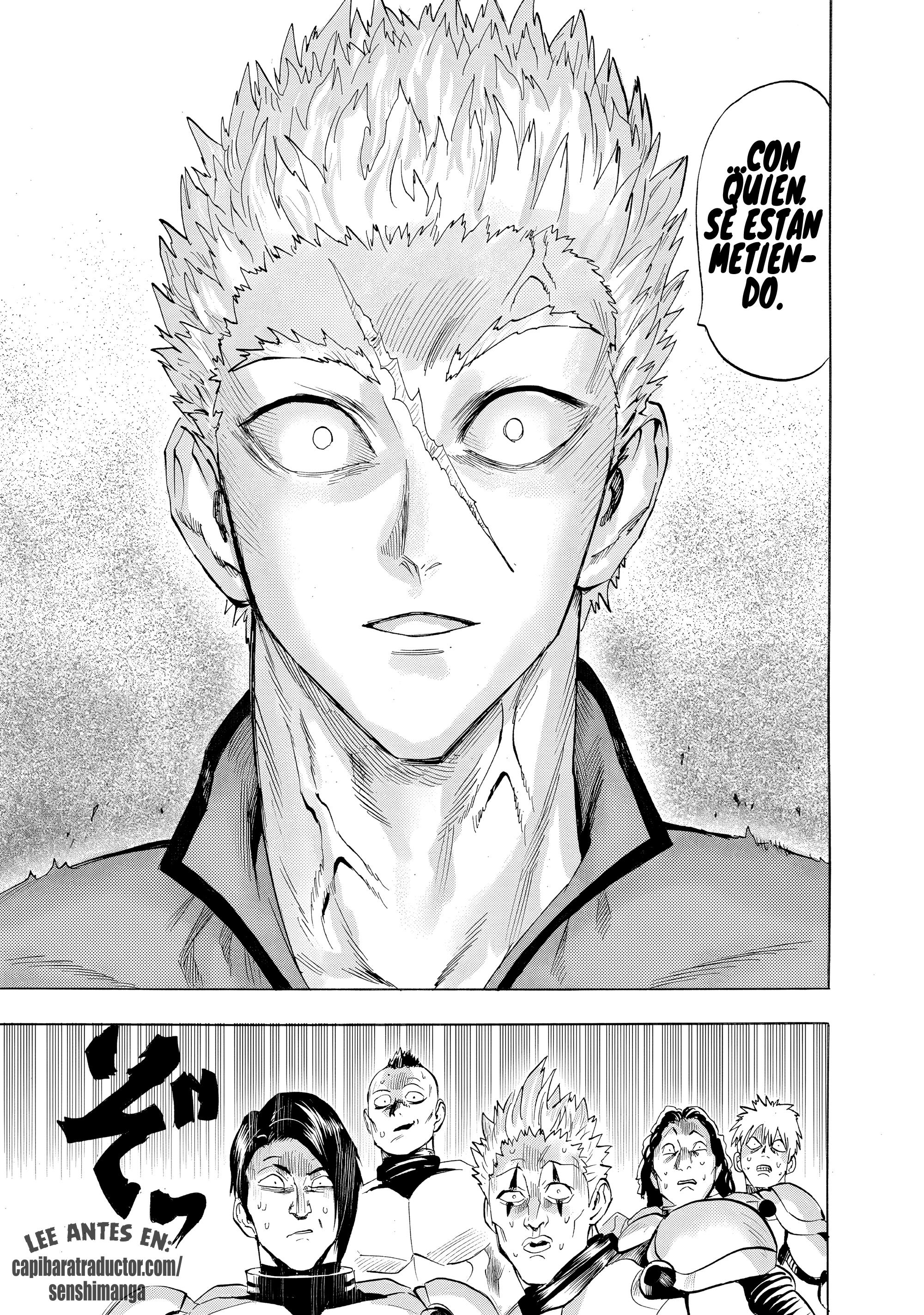 One Punch-Man Capitulo 293 página 13