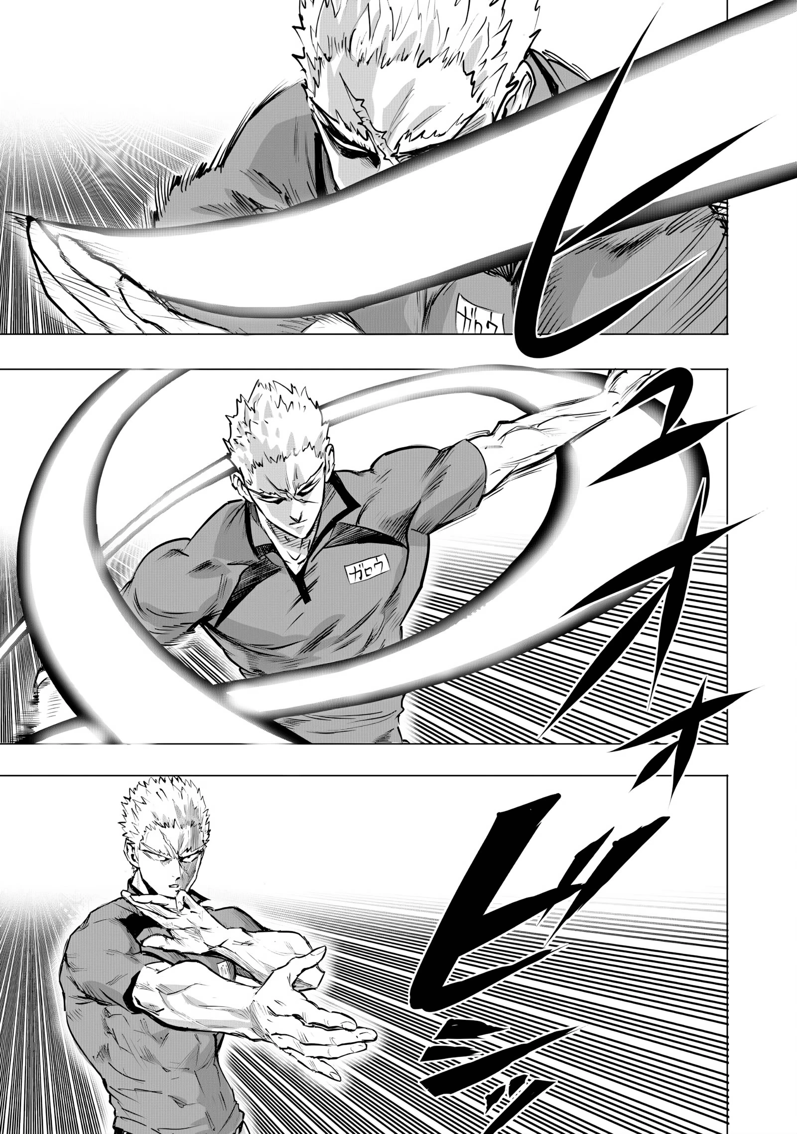 One Punch-Man Capitulo 295 página 13