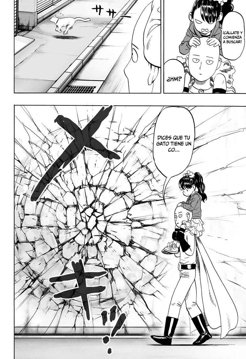 One Punch-Man Capitulo 63.05: Lost Cat página 15