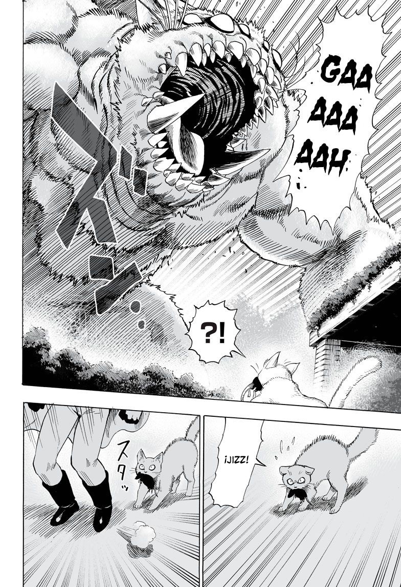 One Punch-Man Capitulo 63.05: Lost Cat página 27