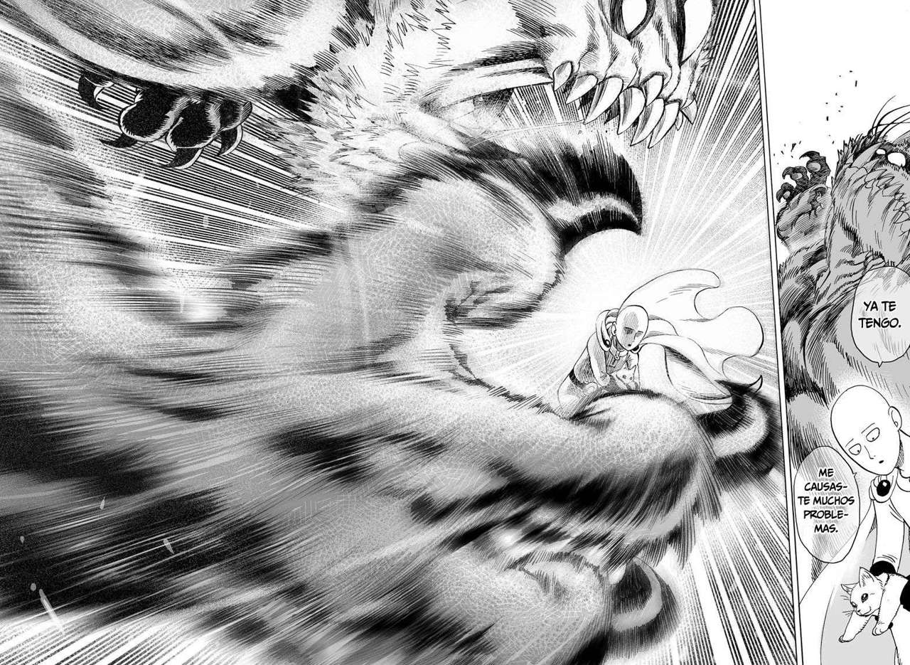 One Punch-Man Capitulo 63.05: Lost Cat página 29