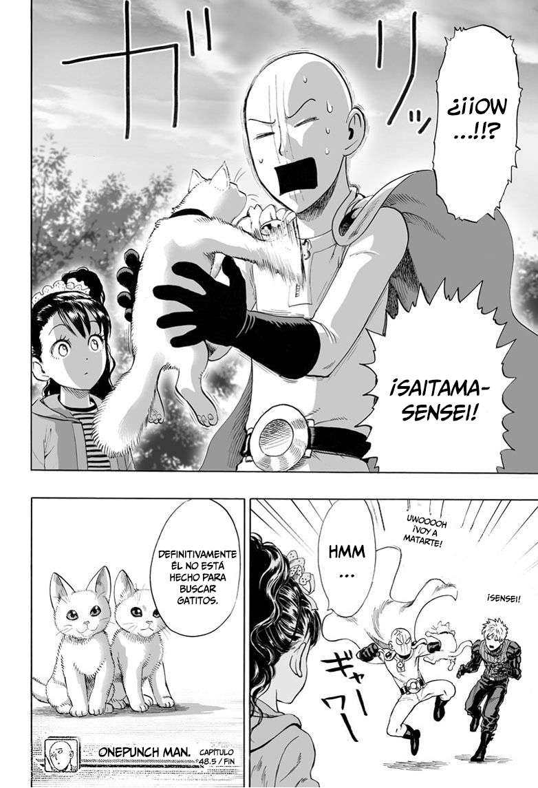 One Punch-Man Capitulo 63.05: Lost Cat página 33