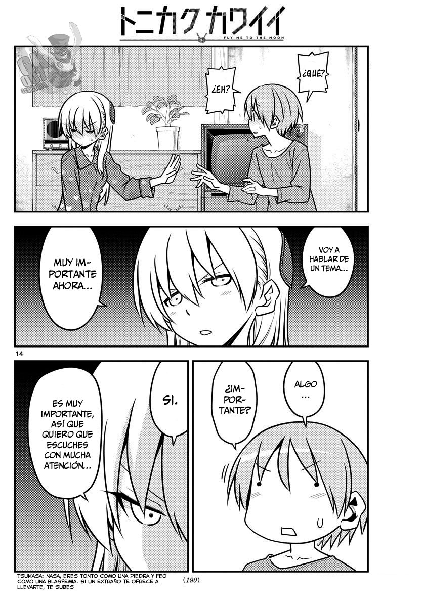 Tonikaku Kawaii Capitulo 135 página 15