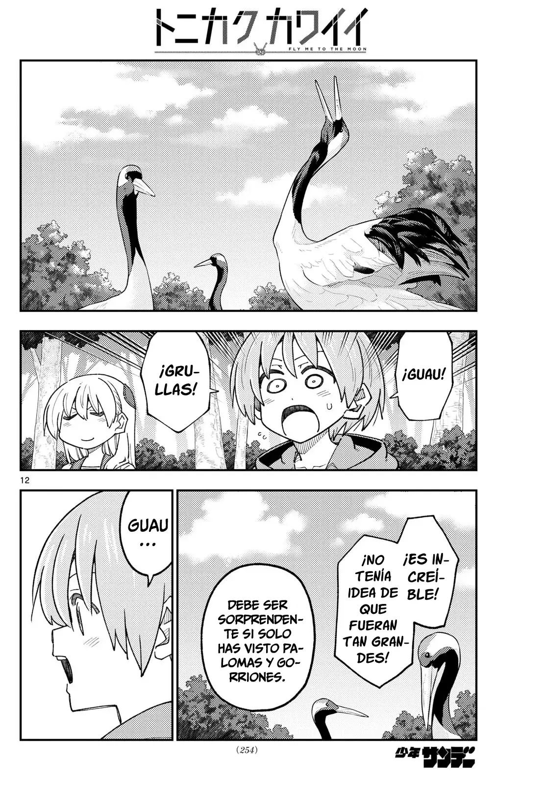 Tonikaku Kawaii Capitulo 302 página 14